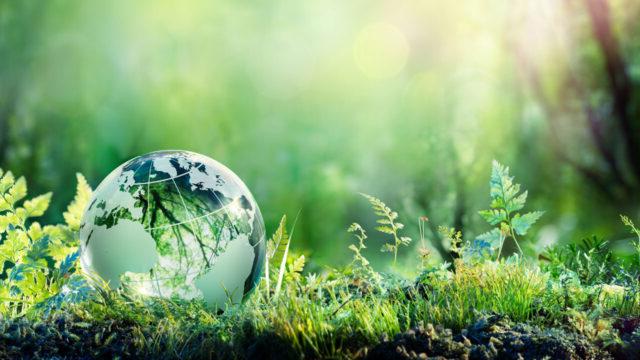 A globe of the world rests on grass and reflects the surrounding trees and ferns